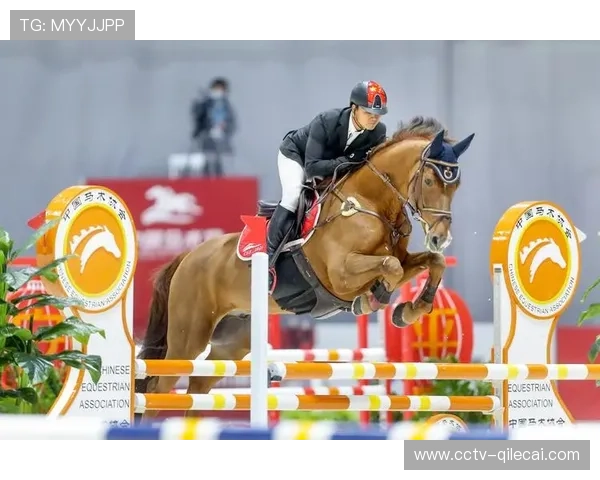 全运会允许港澳联合组队，马术项目首度试行